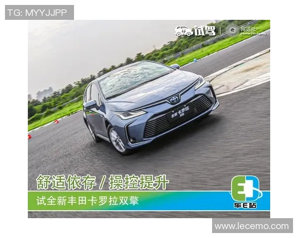 广州排球队在洲际杯中的蜕变与未来发展之路探索 广州排球队在洲际杯中的蜕变与未来发展之路探索