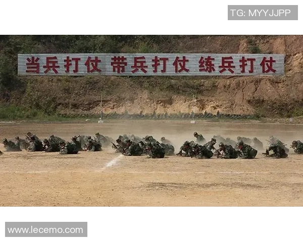 深入分析重庆飞盘队区域防守战术的独特魅力与实战应用