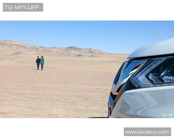 西安攀岩队的战术揭秘与训练技巧探讨之旅